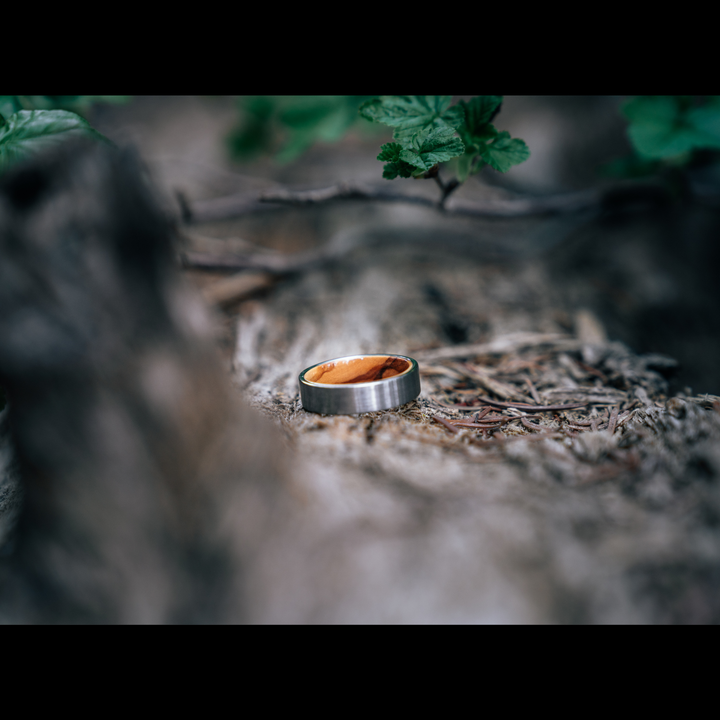 Men's Olive Wood Wedding Band