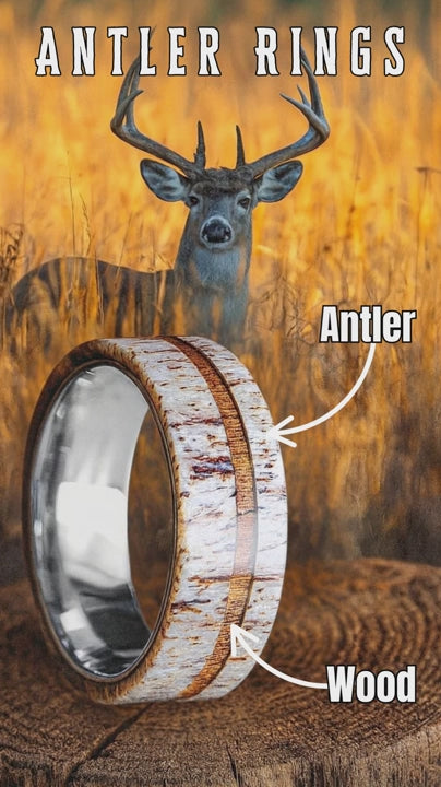 Michigan Buck Ring - Deer Antler With a Wood Stripe